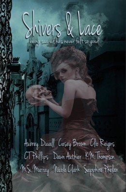 Shivers & Lace by Multi Author Anthology